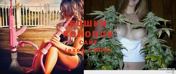 ешки Арсеньев