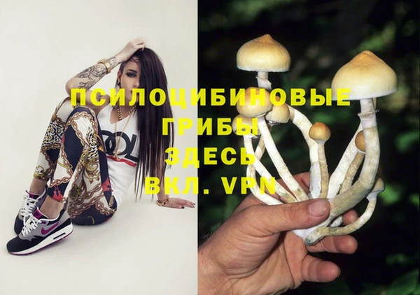 ешки Арсеньев
